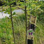 Wandelbrett auf Wanderung