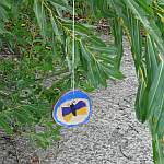 Wandelbrett auf Wanderung