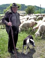 Unser Wanderschfer Schorsch Schickentanz