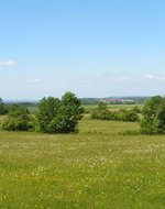 Mhwiesen auf der Hochebene